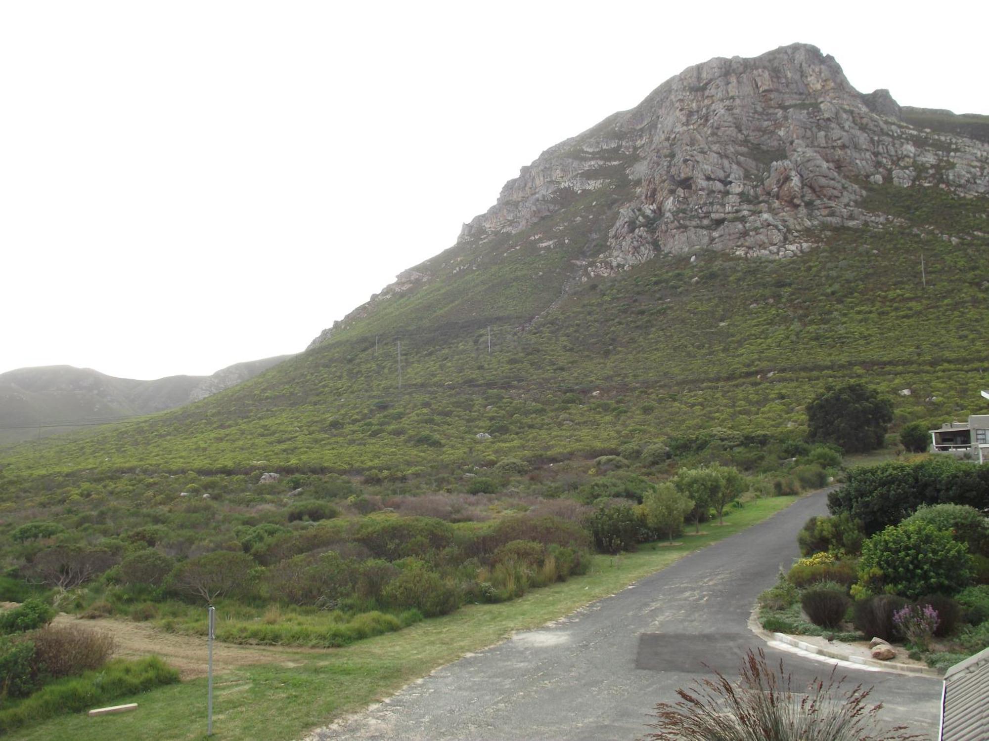 Hermanus At Rikis Self Catering Appartement Buitenkant foto