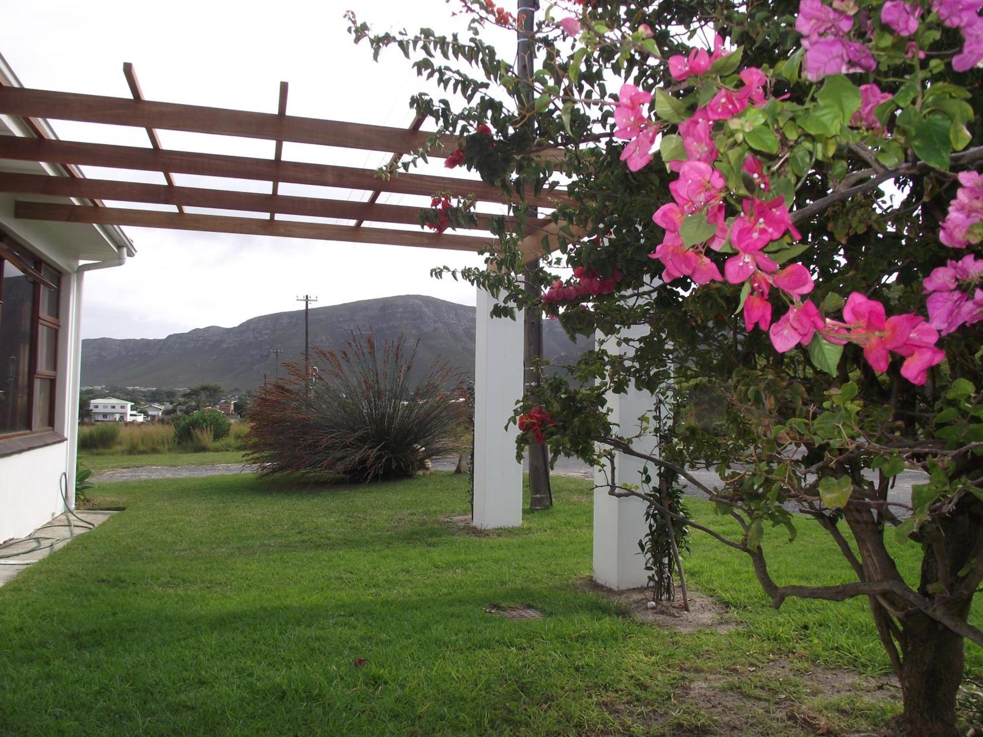 Hermanus At Rikis Self Catering Appartement Buitenkant foto